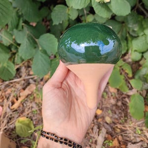 Olla per piantare 20cl di avocado verde