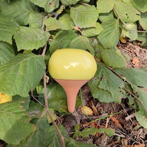 Può includere: Un ornamento da giardino a forma di fungo in vetro giallo con stelo marrone. Il fungo è circondato da foglie e fogliame verdi. L'ornamento è probabilmente utilizzato per l'arredamento di giardini esterni.