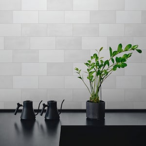 May include: Two matte black gooseneck kettles with slender spouts and a green ZZ plant in a dark, vertically ribbed cylindrical pot. The items are arranged on a flat black surface against a wall of light gray rectangular subway tiles.