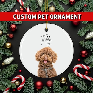 Custom Pet Ornament, Custom Dog Ornament, Pet Ornament, Cat Photo Gift , Custom Christmas Gift, Personalized Pet Ornament