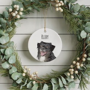 Personalized Pet Ornament Using Pet's Photo + Name Custom Ornament ...