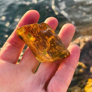 Large Amber With Fossil Inclusions and 1000 Bubbles ,vintage Raw Amber ...
