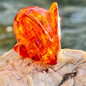 Best Amber Rabbit , Carved Amber Rabbit, Year of the Rabbit , Best Gift ...