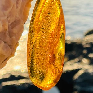 Baltic Amber Pendant: Honey, Fossil Inclusions, Sterling Silver