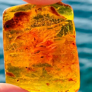 May include: A piece of amber with a yellow and orange color, containing small insects trapped inside. The amber is translucent and has a smooth surface.