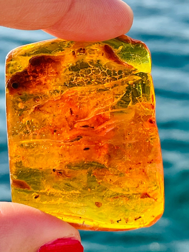 May include: A piece of amber with a yellow and orange color, containing small insects trapped inside. The amber is translucent and has a smooth surface.