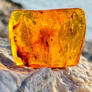 May include: A large, amber-colored piece of fossilized tree resin with inclusions of insects. The amber is translucent and has a warm, golden hue. It is resting on a light gray, textured surface.