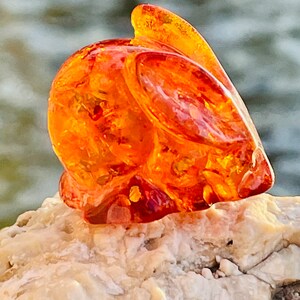 Best Amber Rabbit , Carved Amber Rabbit, Year of the Rabbit , Best Gift ...