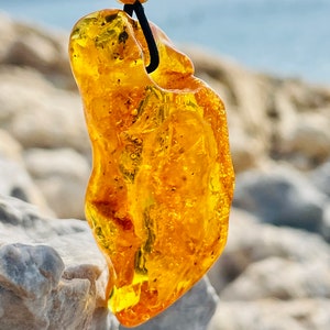 Natural Baltic Amber Pendant: Fossil Fly Inclusion, Honey Amber