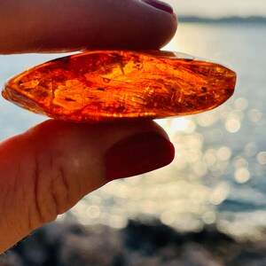 May include: A close-up of a piece of amber, a fossilized tree resin, with a warm, honey-like color and intricate patterns. The amber is held in a hand against a blurred background of water and sunlight.