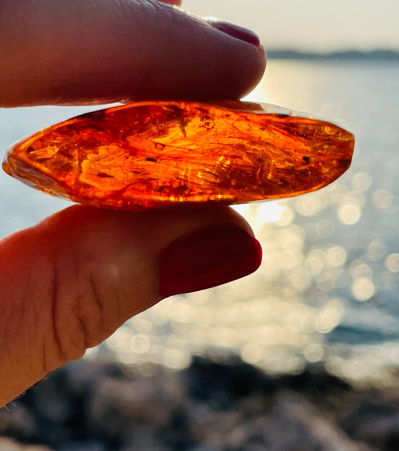 May include: A close-up of a piece of amber, a fossilized tree resin, with a warm, honey-like color and intricate patterns. The amber is held in a hand against a blurred background of water and sunlight.