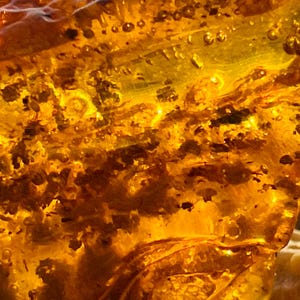 Large Amber With Fossil Inclusions and 1000 Bubbles ,vintage Raw Amber ...