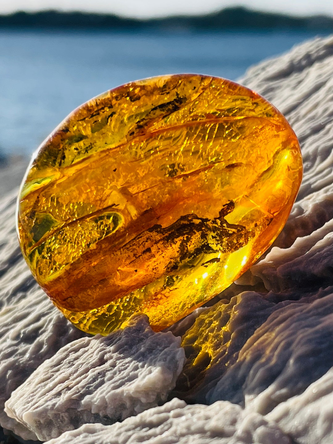 Large Natural Amber With Inclusions Natural Honey Amber With Fossil Large Natural Amber With Inclusions Natural Honey Amber With Fossil