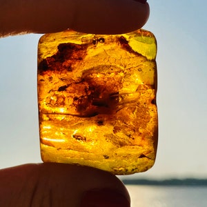 May include: A large piece of amber with a golden yellow color and a variety of inclusions. The amber is translucent and has a smooth, polished surface.