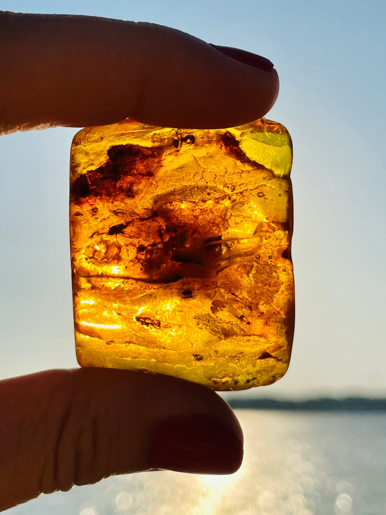 May include: A large piece of amber with a golden yellow color and a variety of inclusions. The amber is translucent and has a smooth, polished surface.
