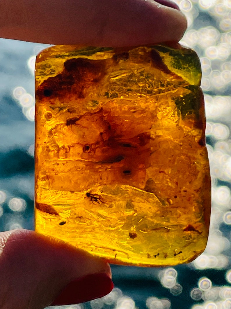 May include: A piece of amber with a small insect trapped inside. The amber is a deep yellow color and has a smooth, polished surface.