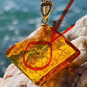 Baltic Amber Pendant: Fossil Fly Inclusion, 24K Gold Plated Sterling Silver