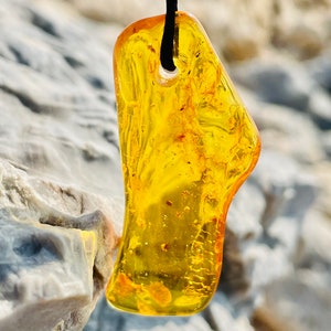 Natural fossil Fly , Unique Amber pendant with fossil fly and inclusions , Honey amber pendant with insects, Amber pendant for Man & Woman