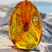 AmberDeLux