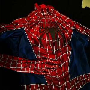 Spider-man Suit Customization. Sam Raimi Spider-man Customized Mask ...