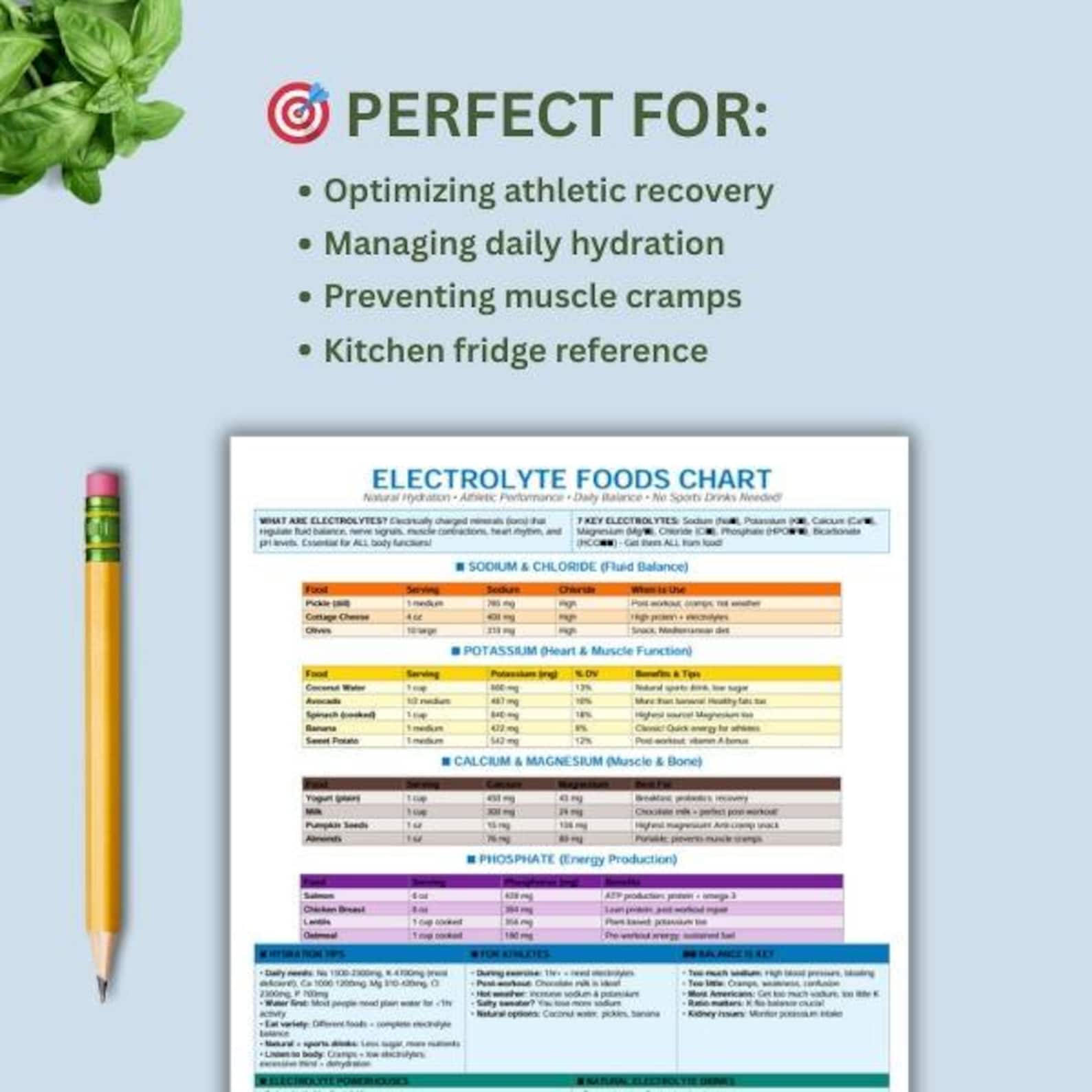Electrolyte Reference Guide Electrolyte Foods Chart, Natural Hydration Guide PDF, Sports Nutrition ...