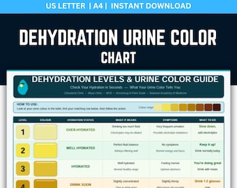 Dehydration Urine Color Chart, Hydration Level Guide, 2025 Health Standards, Fluid Intake Tracker, Wellness Tool, Health, PDF