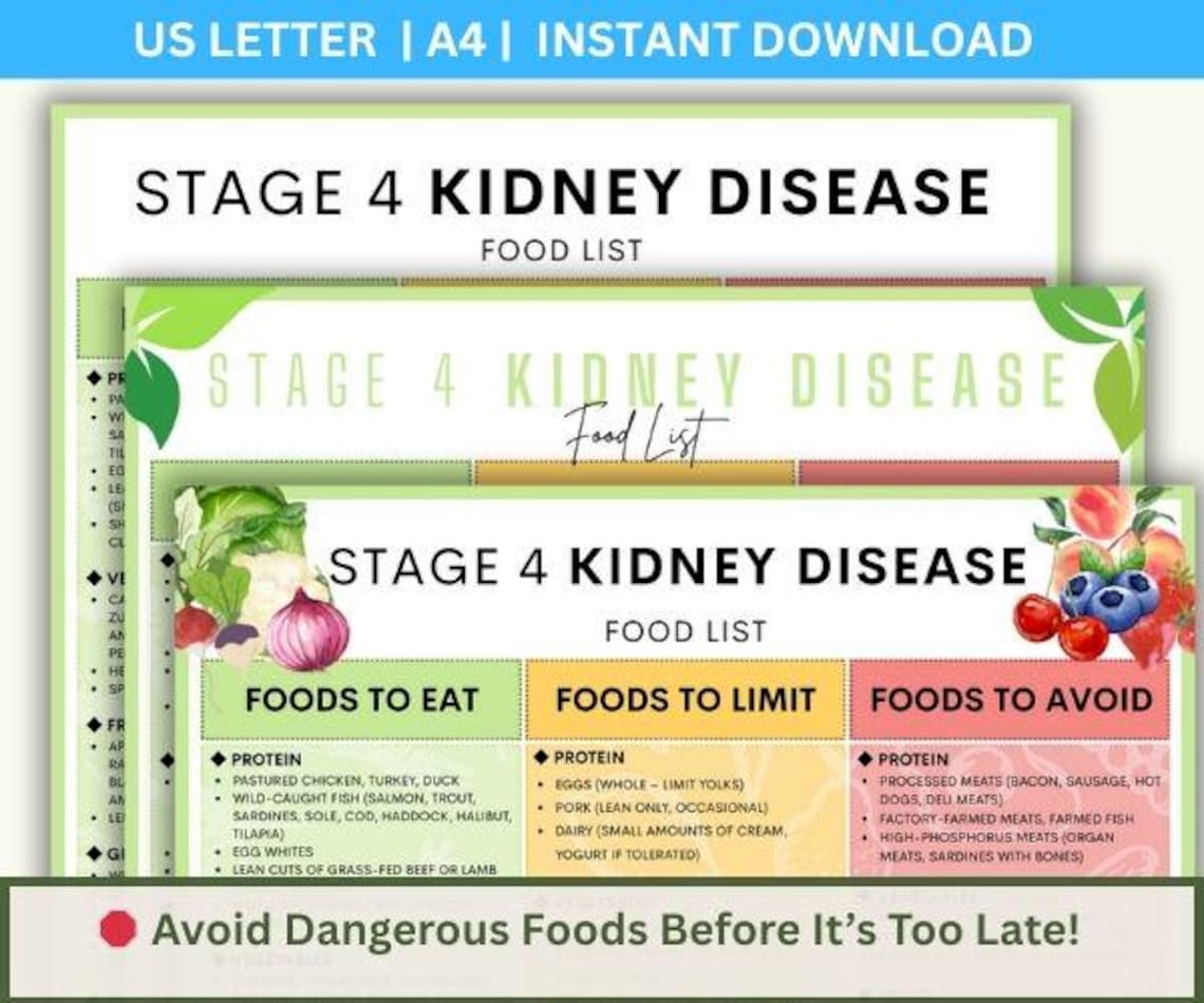 Stage 4 Kidney Disease Food List: Renal Diet Plan (PDF) - Etsy