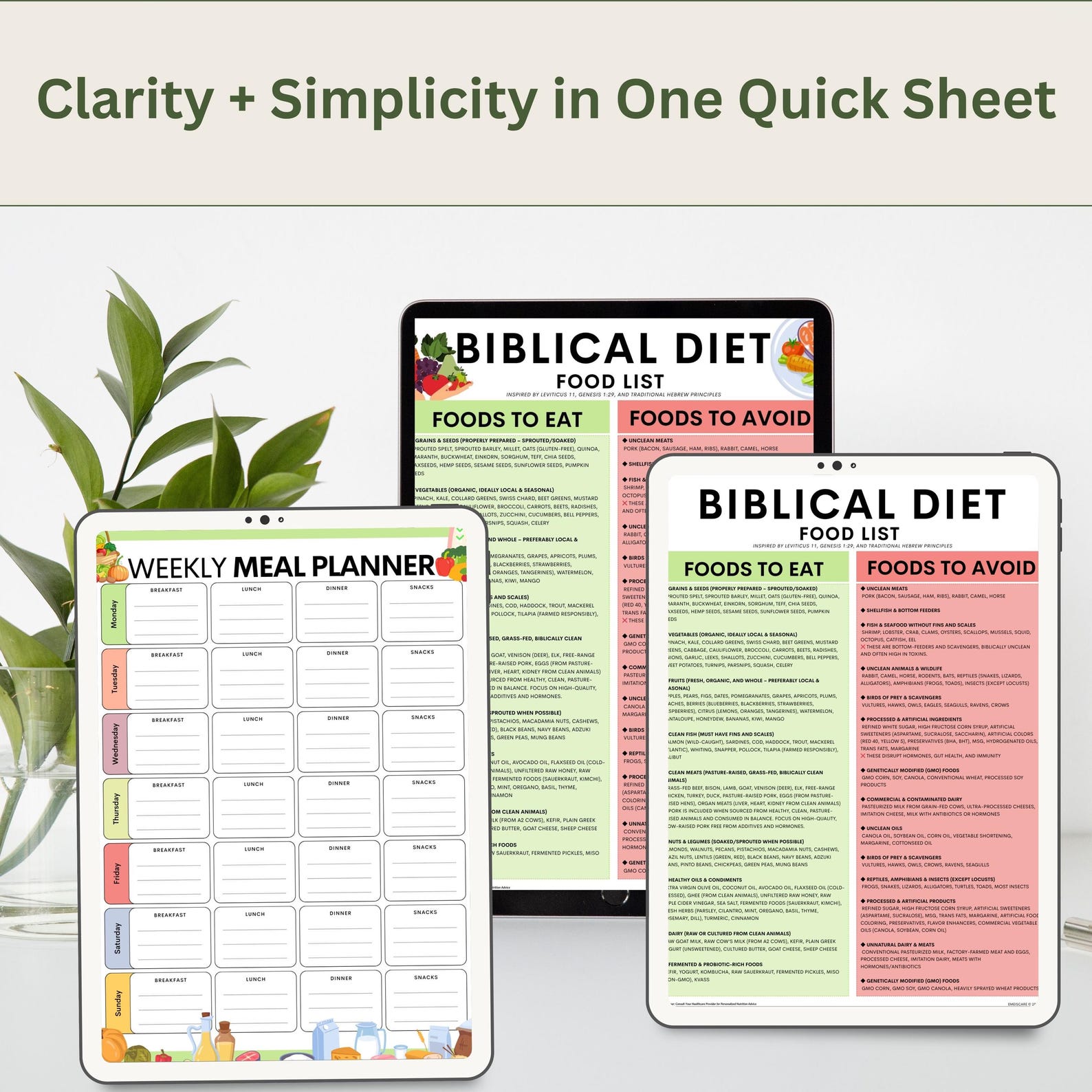 Biblical Food List Printable: Christian Clean Eating Guide (PDF ...