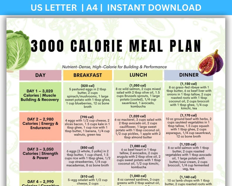 3000 Calorie Meal Plan PDF, 7 Day High Protein Menu, Weight Gain Muscle ...