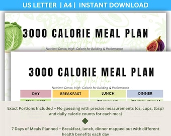 3000 Kalorien Speiseplan PDF, 7 Tage Menü mit hohem Proteinanteil, Gewichtszunahme Muskelaufbau Diät, wöchentlicher Mahlzeitenplaner 3000 Kalorien zum Ausdrucken