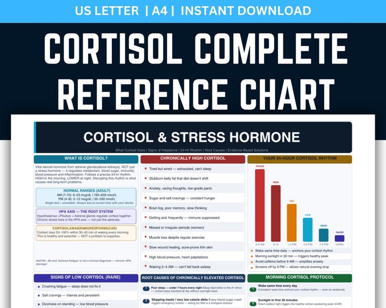 Cortisol Stress Hormone Chart, Adrenal Health Guide, Hormone Balance ...
