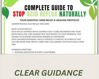 How to Stop Acid Reflux Naturally, GERD Relief Guide, Heartburn Prevention Tips, Lifestyle Changes, Healing Protocol PDF