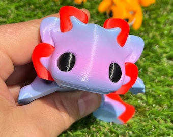 Tadpole Axolotl