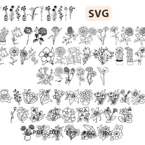 Wildflowers Png, Bouquet SVG Bundle, Wild flower svg, Wildflowers svg, Flourish svg, leaves svg, wildflower cut file, botanical Svg anf Png.