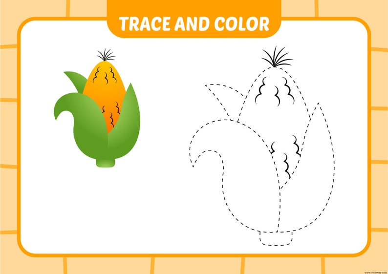 Trace and Color 32 Pages. Kids Activities. Printable Worksheets. Kids