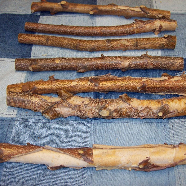 12 inch long Birch mini logs 7 sticks