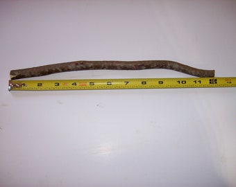 One 12 inch long Hawthorn Wand art craft carving wood stick