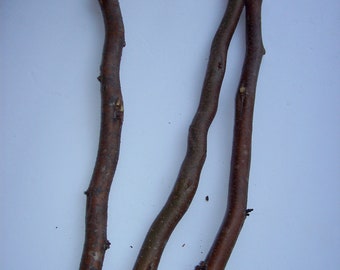 Three 12 inch long Hawthorn Wand art craft carving wood stick