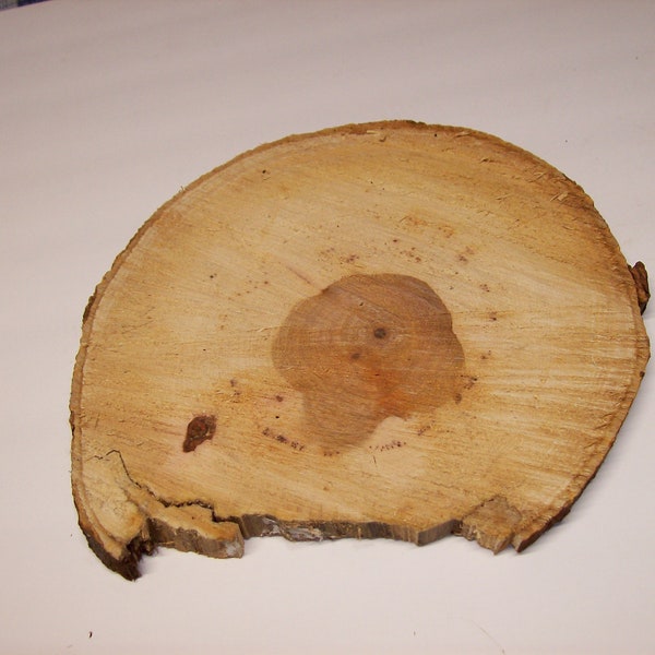 Hickory wood Slice 9 X 8 x 3/4 inch