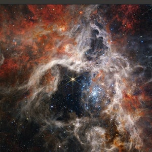 Cosmic Tarantula Poster James Webb Space Telescope Tarantula Galaxy European Space Agency Webb inspects the heart Tarantula Galaxy CANVAS