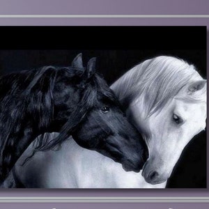 Black Horse Canvas Wall art  Noble Horse Canvas horse painting , horse canvas wall decor,horse canvas poster,horse canvas print Horse Poster