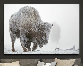 Amerikanischer Büffel im Schnee Originalbilder Kunst, Büffel Wandkunst, Büffel Wand-Dekor, Büffel Leinwand Wohnkultur, Büffel Büro Dekor