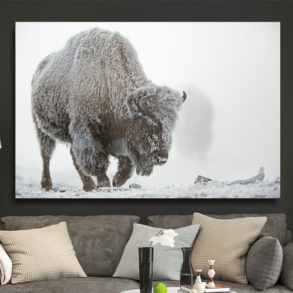 American Buffalo in Snow Original Pictures Art, Buffalo Wall Art, Buffalo Wall Decor, Buffalo Canvas Home Decor, Buffalo Office Print Decor