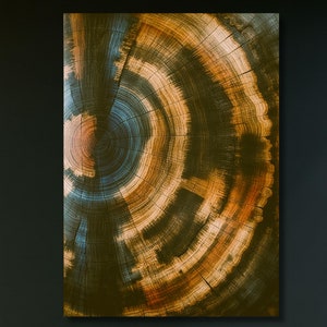 Wood Texture Tree Ring Canvas Wall Art, Abstract Colorful Tree Ring Wall Decor, Minimalist Home Canvas art Wood Crack Canvas Home Decor Art
