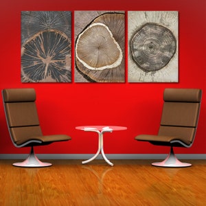 Set of 3 Woodcut Print Canvas Wall Art Sitka Spruce Three Panel Wall Art Tree Ring Print Forestry Biology Art, Woodcut canvas Print gift