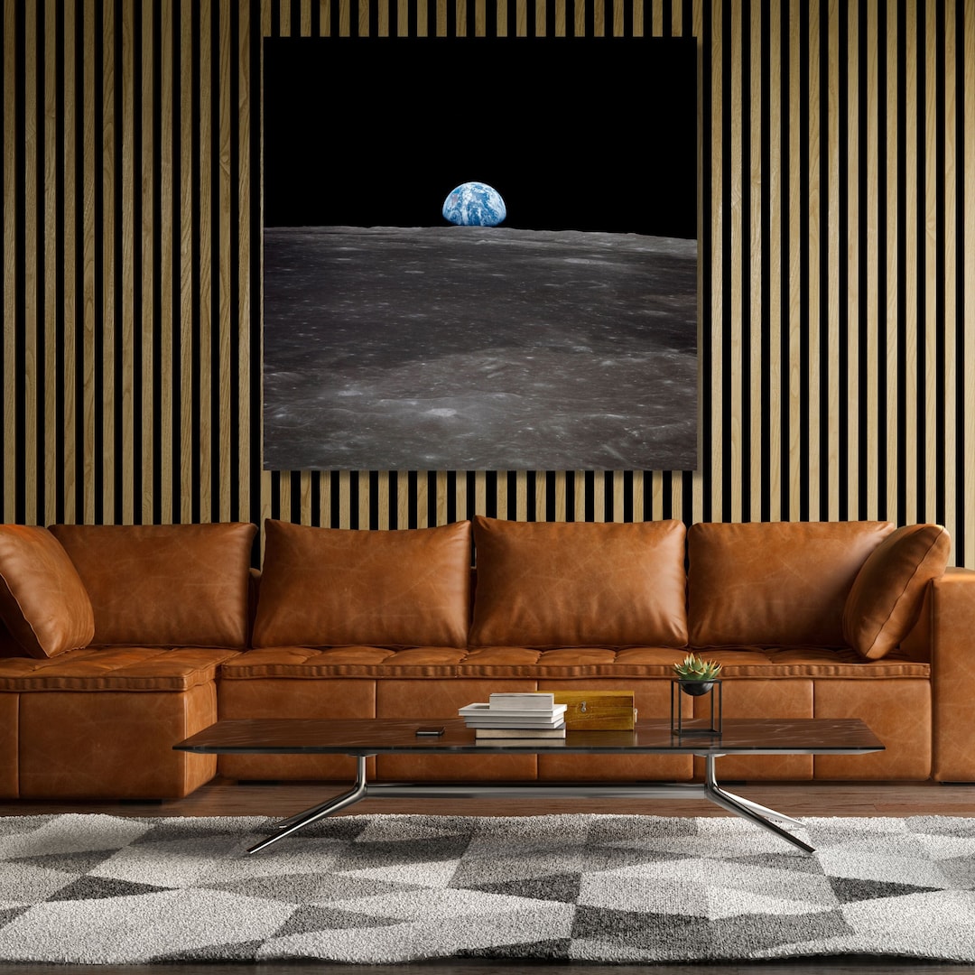 View of Earth Rising Over Moon's Horizon Taken From Apollo Canvas Wall ...