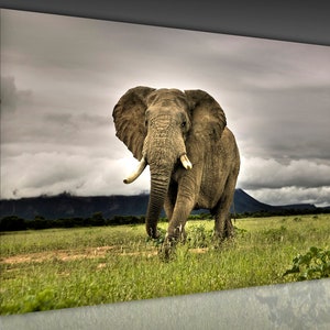 Elephant Canvas Wall Art Elephant Print Wild Life Canvas Art Animal Canvas Print Elephant Poster Elephant Gift Elephant decor wall art