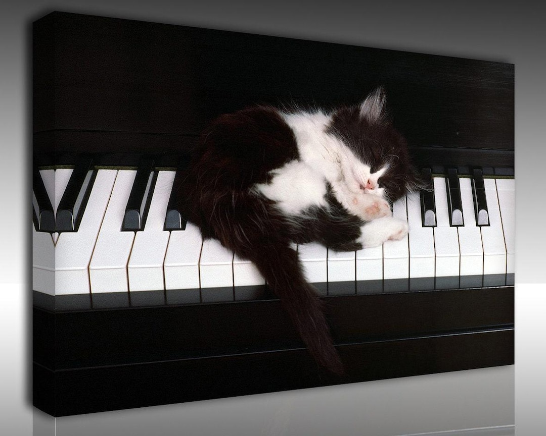 ピアノを弾く猫 キャンバス壁アート ピアノで眠る猫 キャンバス