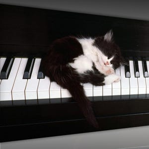 ピアノを弾く猫 キャンバス壁アート ピアノで眠る猫 キャンバス