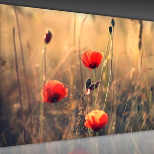 Flower Wall Art Canvas Print Wall Decor printed on Premium 100% Cotton Canvas for Living Room , Bedroom Wall Art, Bathroom decor Gift Poster